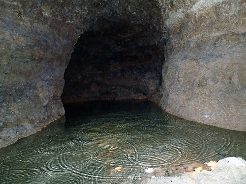 Barbados  West Indies (Bridgetown) underground river Tickets