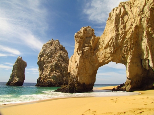 Cabo San Lucas Sea Lion Colony Cruise Excursion