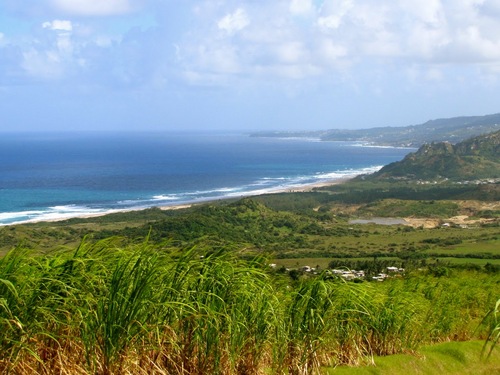 Barbados  West Indies (Bridgetown) Carlisle Bay Excursion