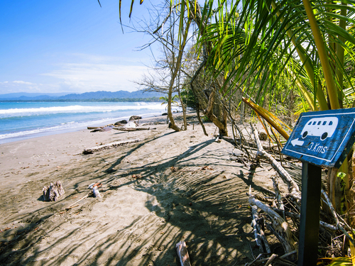 Puerto Limon rain forest Shore Excursion Cost