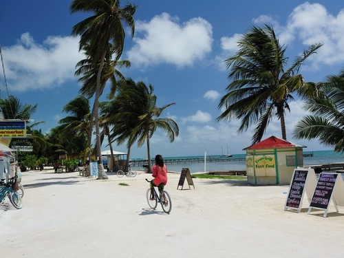 Belize Shark Ray Alley Cost