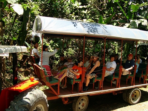 Puerto Limon Banana Plantation  Tour