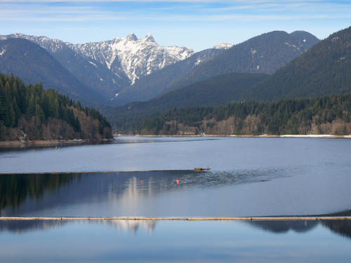 Vancouver  British Columbia Lions Gate Bridge Trip Reviews