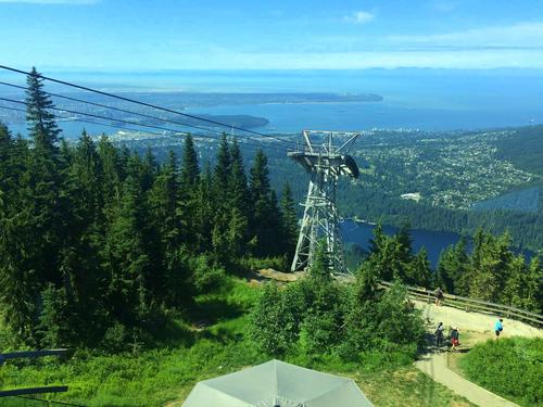 Vancouver  British Columbia Capilano River Hatchery Cruise Excursion Reviews