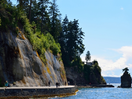 Vancouver Capilano Suspension Bridge Park Tour Reservations