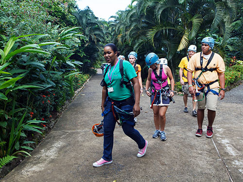 St. Lucia (Castries) zip line Shore Excursion Booking