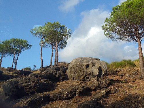 Naples  Italy Walking Sightseeing Cruise Excursion Reviews