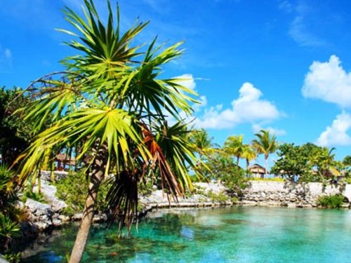 Cozumel  Mexico snorkeling in beautiful water Prices