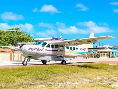 Belize shark ray alley Tour Cost