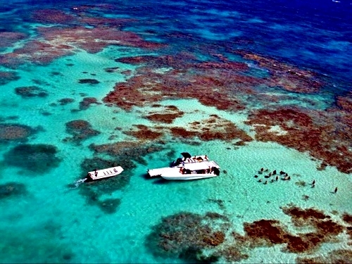 St. Johns stingray city Cruise Excursion Reservations