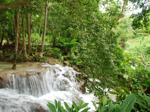 Ocho Rios dunn's river falls climb Excursion Cost