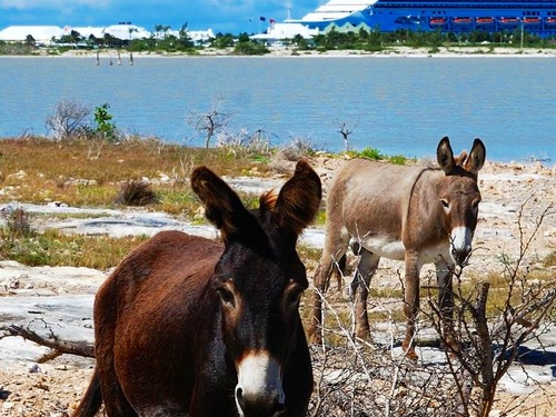 Grand Turk sightseeing Trip Prices