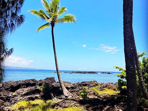 Hilo snorkel Tour Reservations