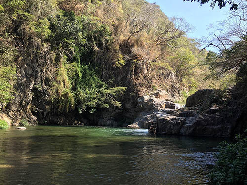 Puerto Vallarta suspension bridge Tour Reviews