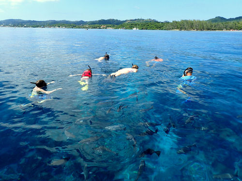 Roatan beach Cruise Excursion Cost